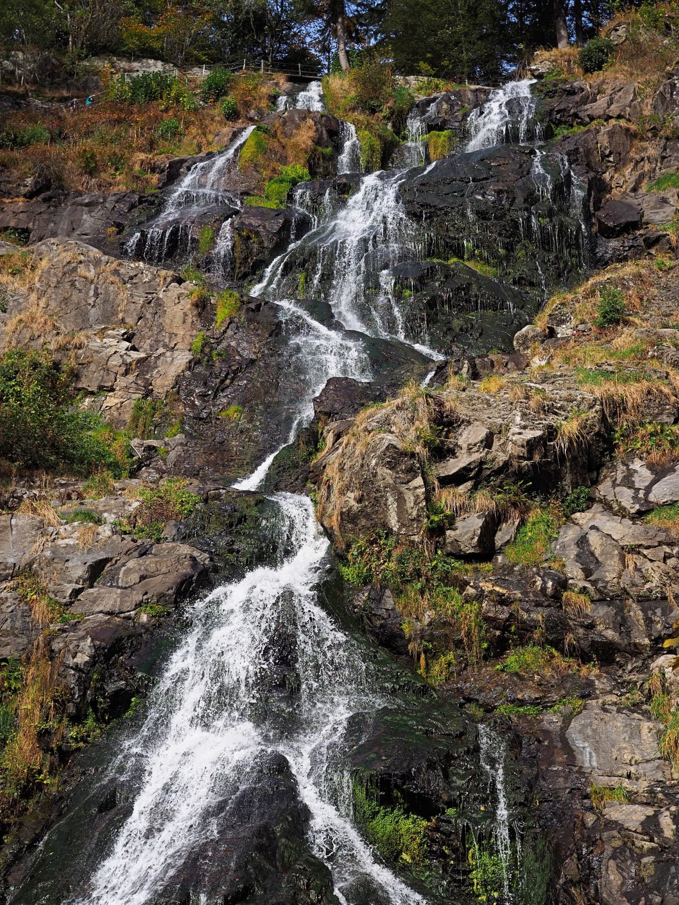 Todtnauer Wasserfall
